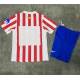 FDJ 2015 EQUIPACION VERANO