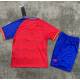 FDJ 2015 EQUIPACION VERANO