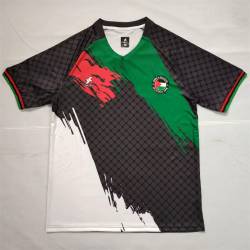 Camiseta PALESTINA 2