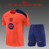 FDJ 2015 EQUIPACION VERANO