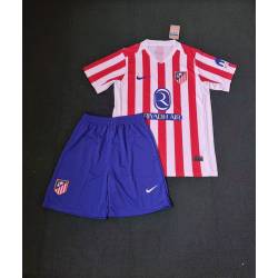 FDJ 2015 EQUIPACION VERANO