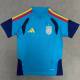 Camiseta Seleccion España MUNDIAL 2026 Entreno Equipacion