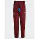 Chandal ESPAÑA Cortavientos con Capucha 2025 - 2026 pantalon