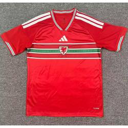 Camiseta Seleccion GALES MUNDIAL 2026 Primera Equipacion