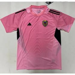 Camiseta Seleccion VENEZUELA MUNDIAL 2026 Portero Equipacion