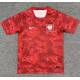 Camiseta Seleccion POLONIA MUNDIAL 2026 Segunda Equipacion