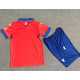 FDJ 2015 EQUIPACION VERANO