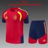 FDJ 2015 EQUIPACION VERANO